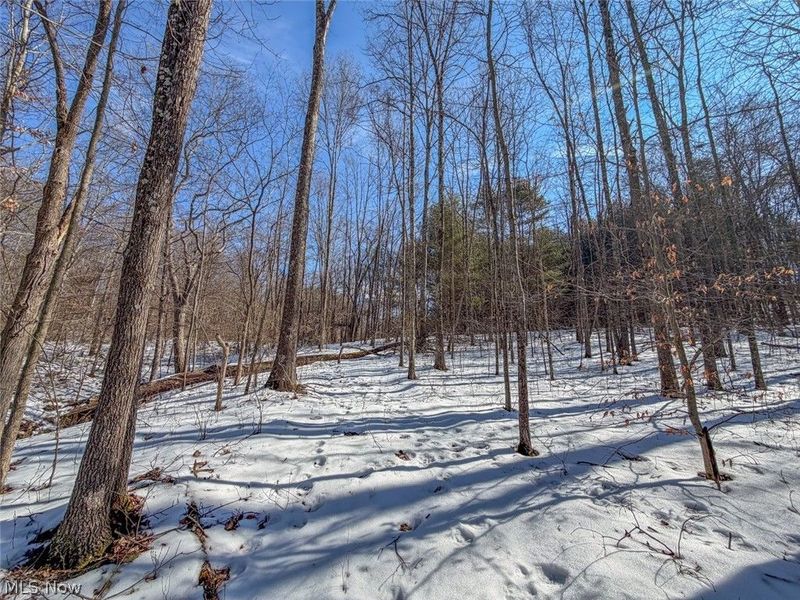 0 Blue Rock Church Road, Chandlersville, OH 43727 Photo 21