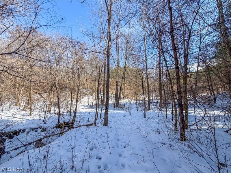 0 Blue Rock Church Road, Chandlersville, OH 43727 Photo 22