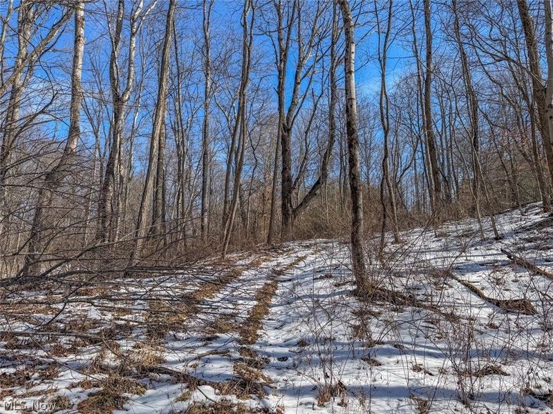 0 Blue Rock Church Road, Chandlersville, OH 43727 Photo 23