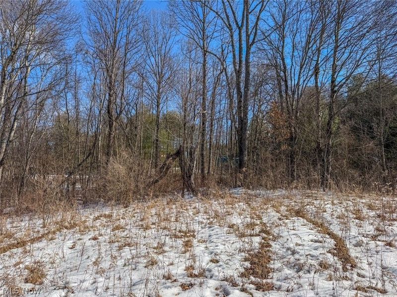 0 Blue Rock Church Road, Chandlersville, OH 43727 Photo 24