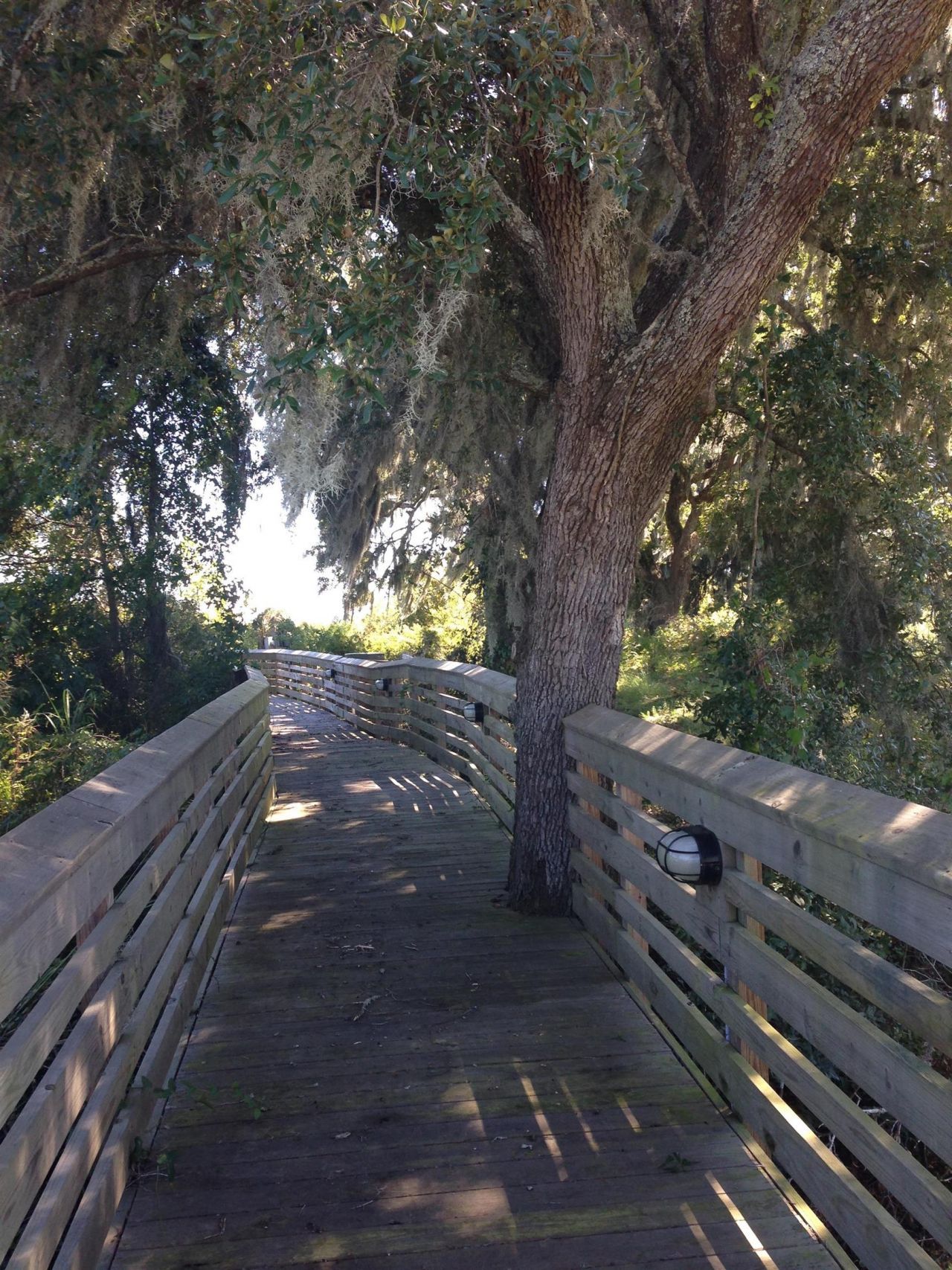 Lot 142 Millbank Rd.  Photo 20