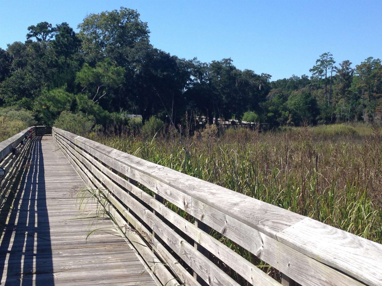 Lot 142 Millbank Rd.  Photo 21