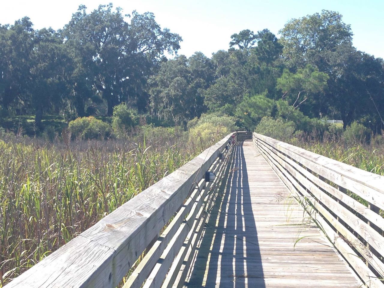 Lot 142 Millbank Rd.  Photo 22