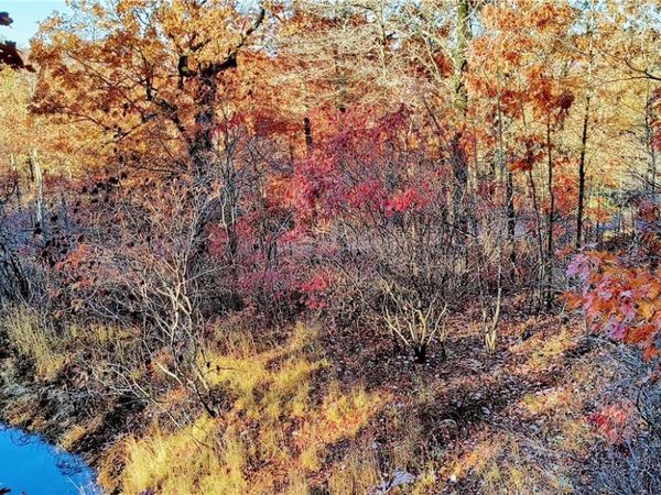 10349 Madison 3605 , Kingston, AR 72742