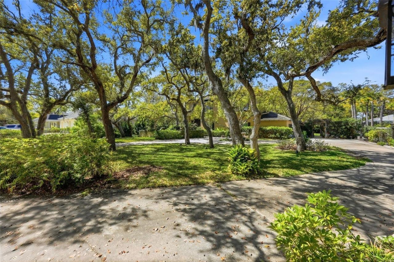 10785 Danielle Drive, Largo, FL 33774 Photo