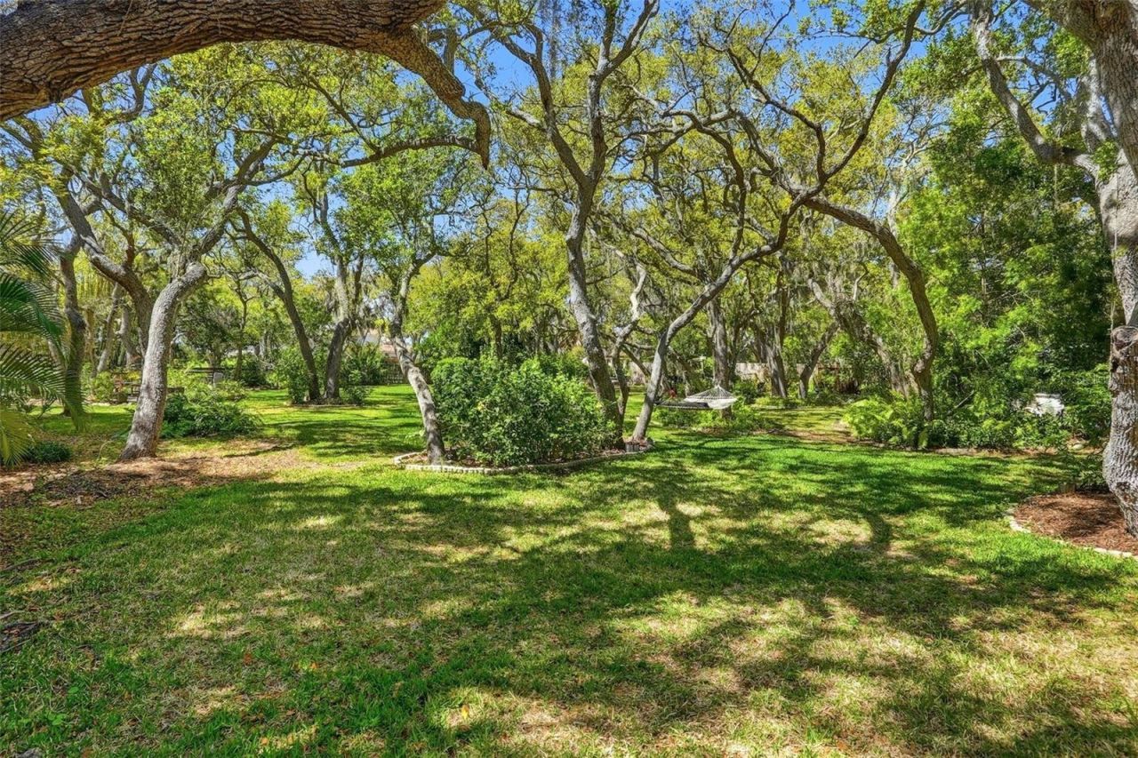 10785 Danielle Drive, Largo, FL 33774 Photo