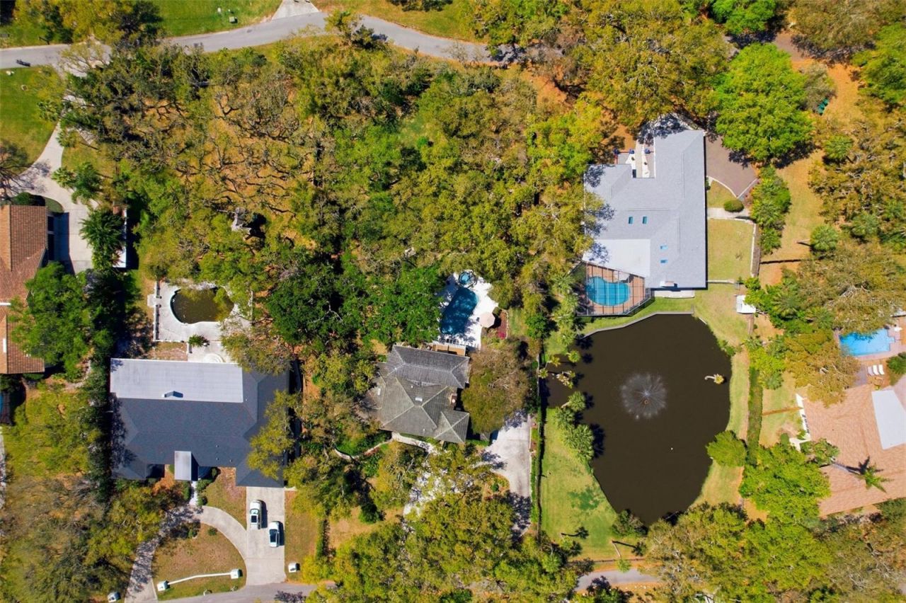 10785 Danielle Drive, Largo, FL 33774 Photo