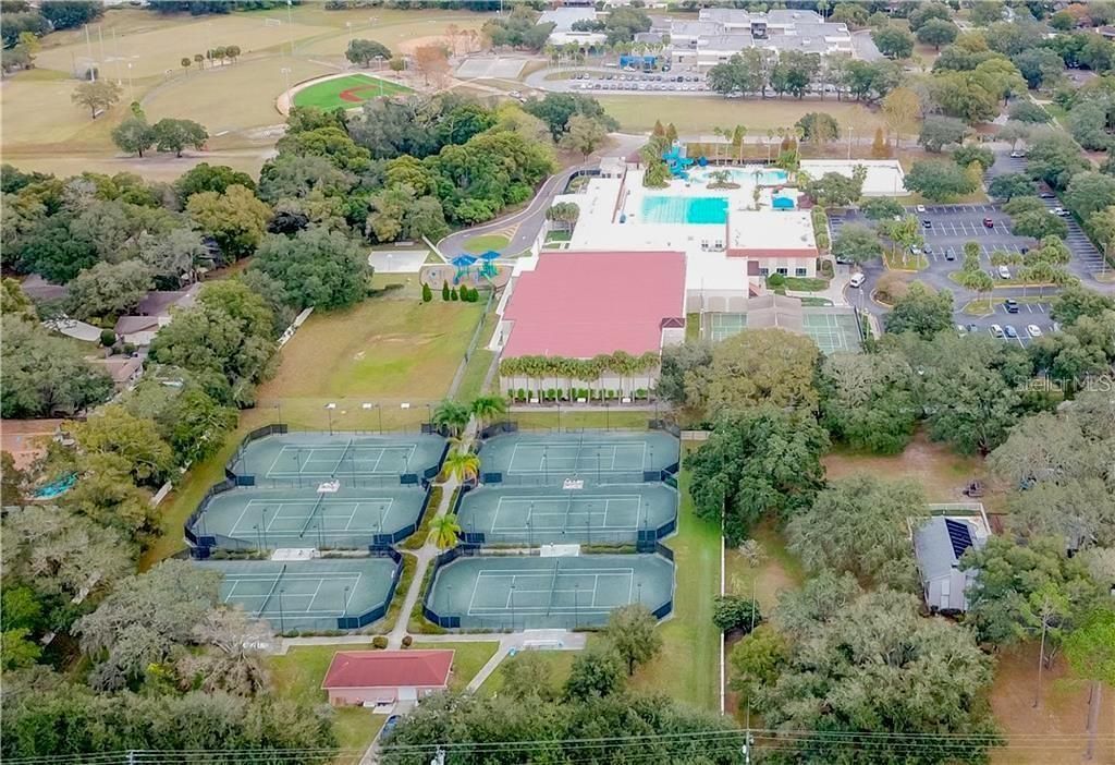 6308 N Queensway Drive , Temple Terrace, FL 33617 Photo