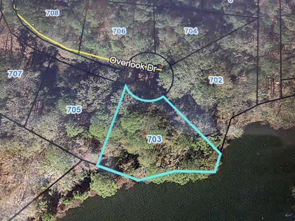 703 Overlook Drive, Montezuma, GA 31063