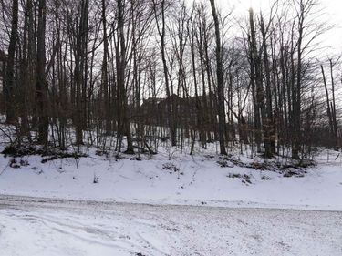 45 Winterset Drive, Davis, WV 26260