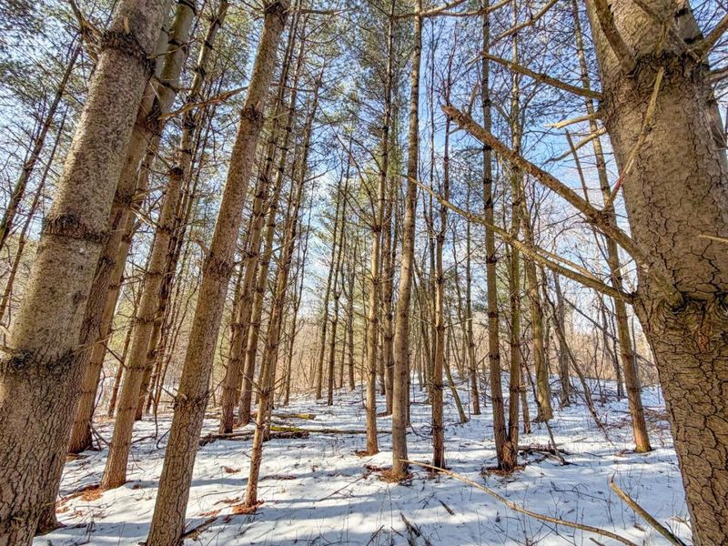 0 Blue Rock Church Road , Chandlersville, OH 43727 Photo 14