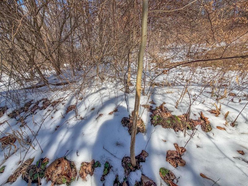 0 Blue Rock Church Road , Chandlersville, OH 43727 Photo 16