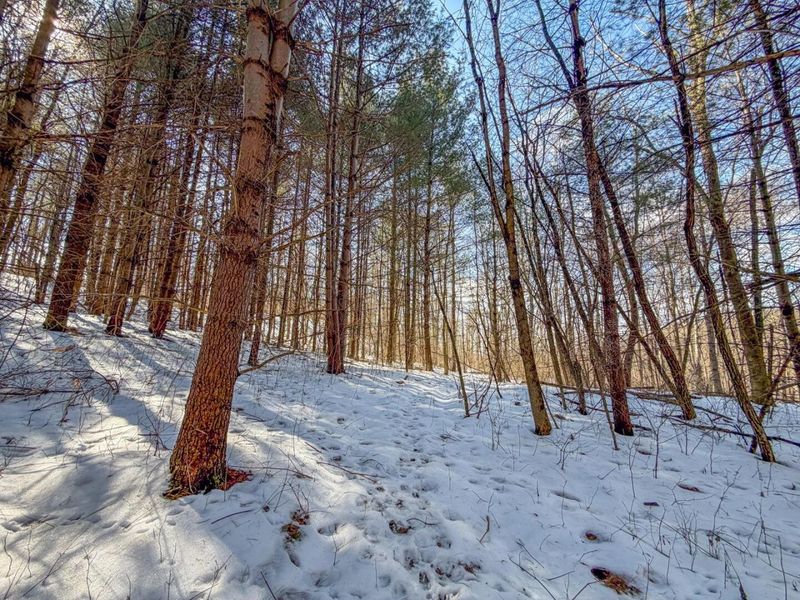 0 Blue Rock Church Road , Chandlersville, OH 43727 Photo 17