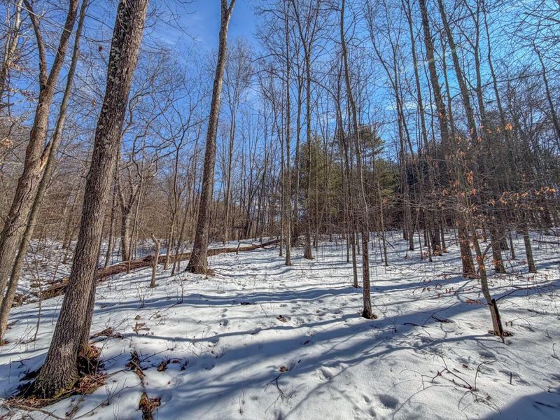 0 Blue Rock Church Road , Chandlersville, OH 43727 Photo 21