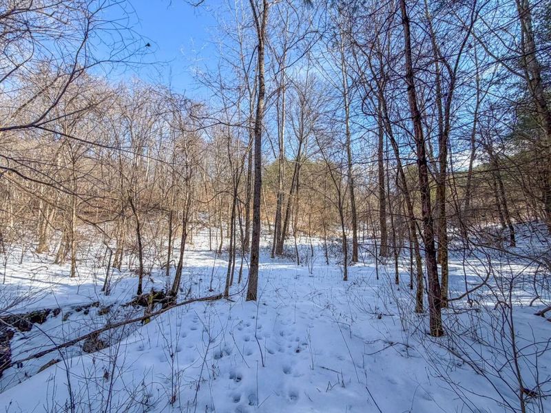 0 Blue Rock Church Road , Chandlersville, OH 43727 Photo 22