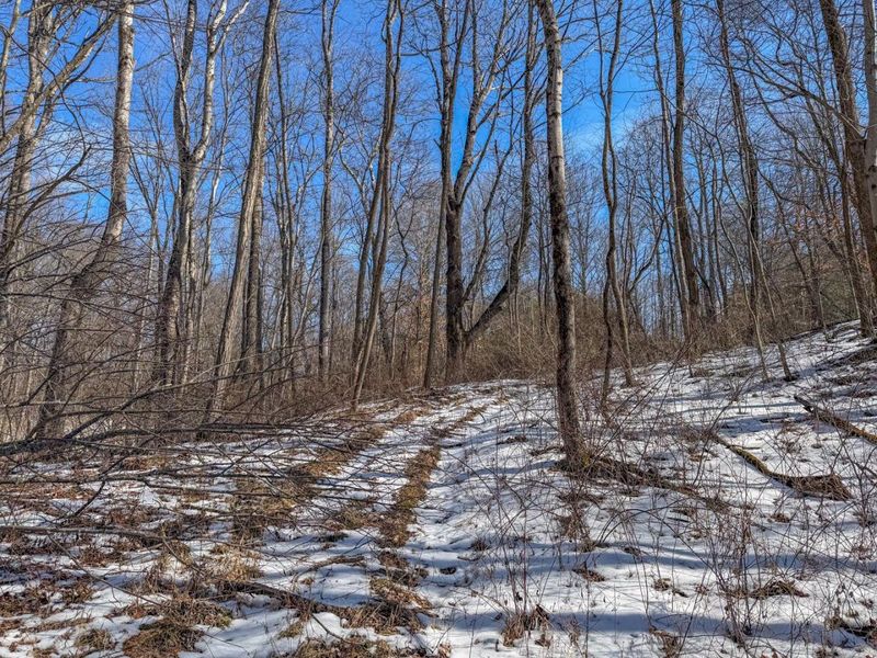 0 Blue Rock Church Road , Chandlersville, OH 43727 Photo 23