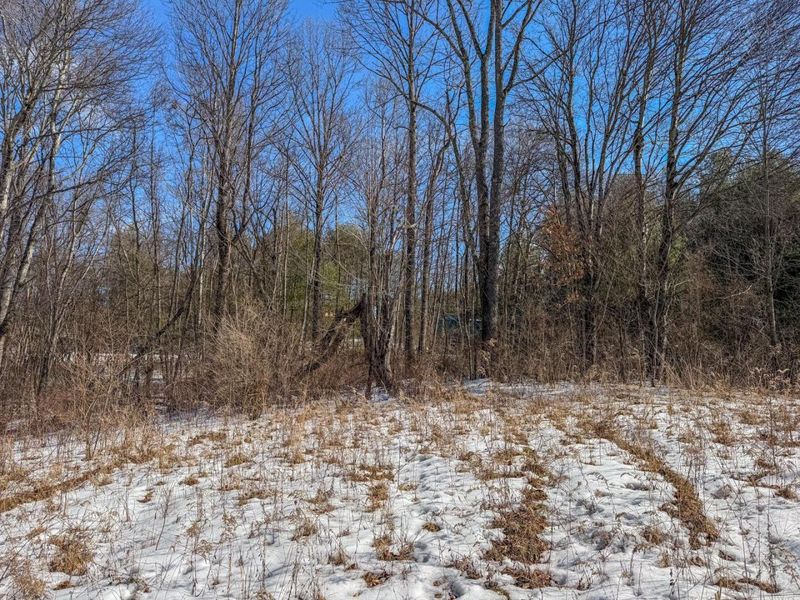 0 Blue Rock Church Road , Chandlersville, OH 43727 Photo 24