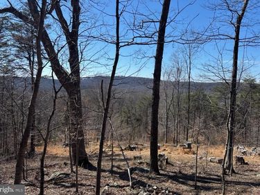 CARTERS RUN , MARSHALL, VA 20115