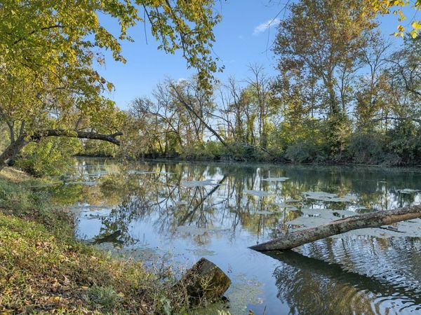 711 Warrior Dr , Murfreesboro, TN 37128