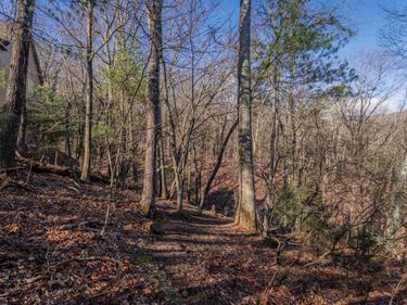 141 LAIRD PL, MCGAHEYSVILLE, VA 22840