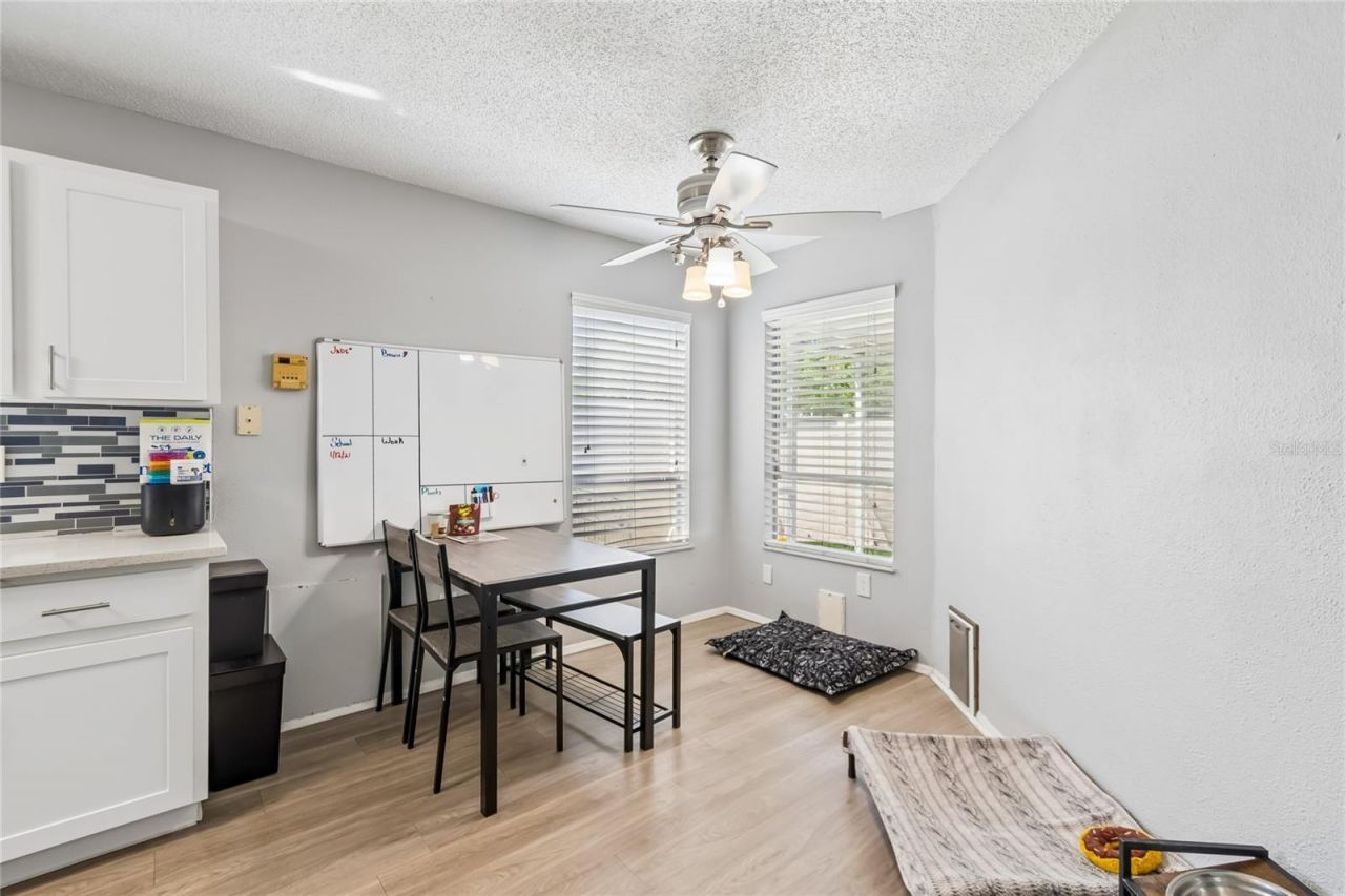 7123 Silvermill Drive, Tampa, FL 33635 Photo
