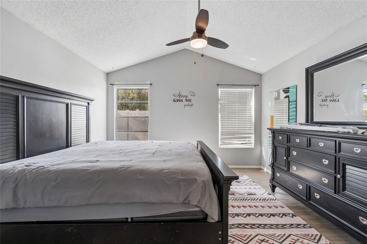 7123 Silvermill Drive, Tampa, FL 33635 Photo