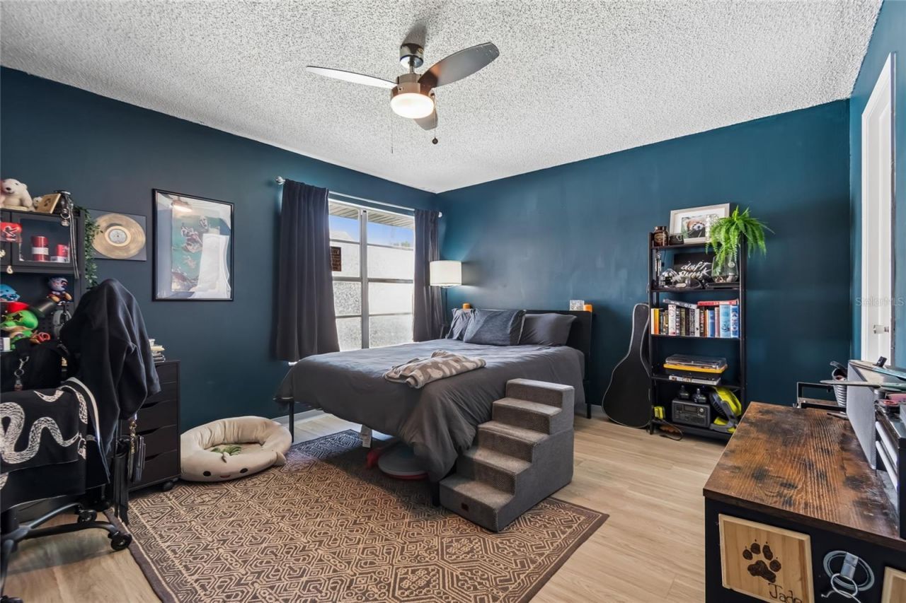 7123 Silvermill Drive, Tampa, FL 33635 Photo
