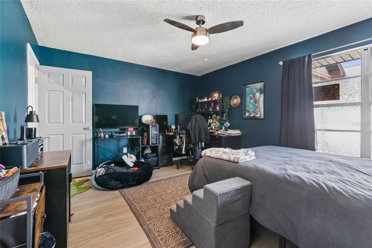 7123 Silvermill Drive, Tampa, FL 33635 Photo
