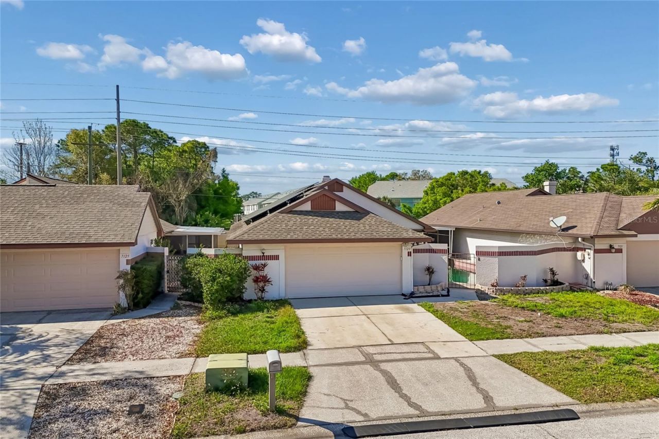7123 Silvermill Drive, Tampa, FL 33635 Photo