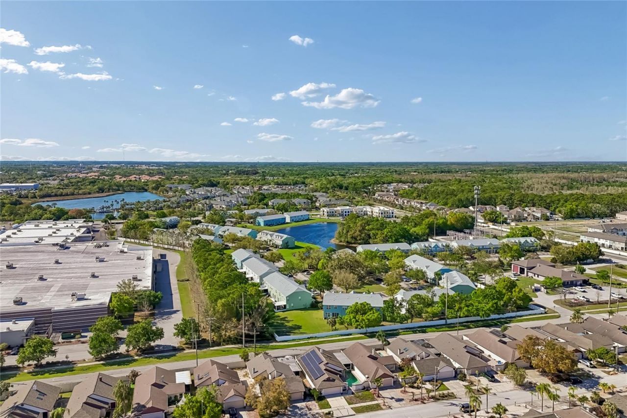 7123 Silvermill Drive, Tampa, FL 33635 Photo