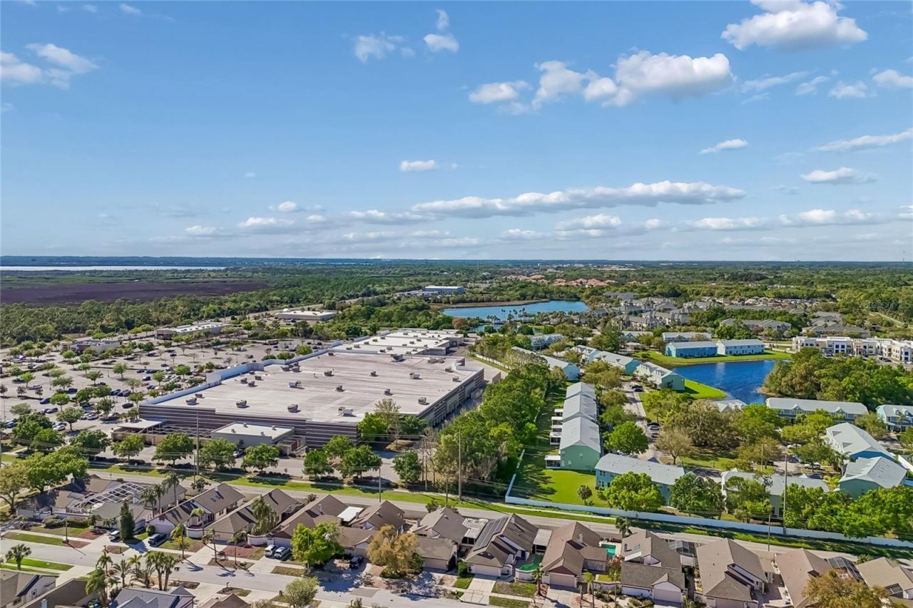 7123 Silvermill Drive, Tampa, FL 33635 Photo