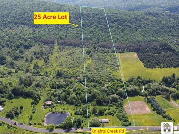 2710 County Road 9 , Scio, NY 14880