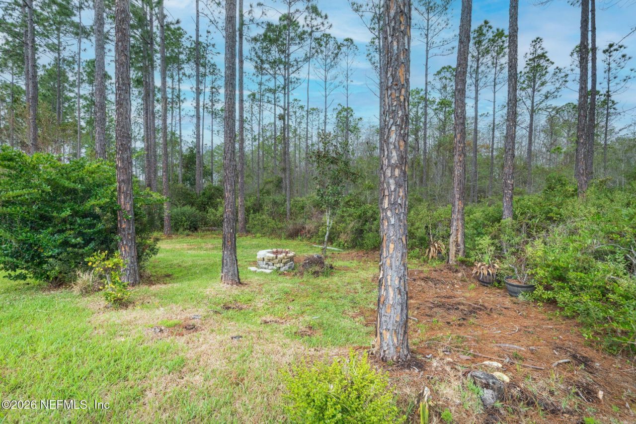 9936 Pavnes Creek Drive, Jacksonville, FL 32222 Photo