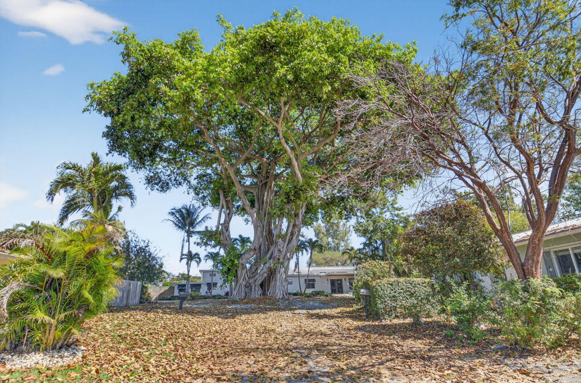 245 Seacrest Lane, Delray Beach, FL 33444 Photo