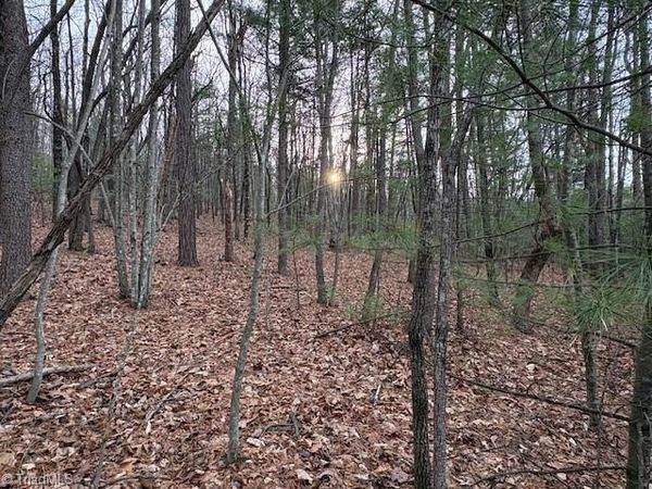 TBD Sutters Ridge Road , McGrady, NC 28649