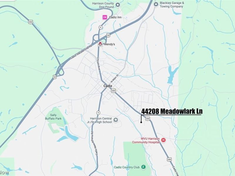 44208 Meadowlark Lane , Cadiz, OH 43907 Photo 2