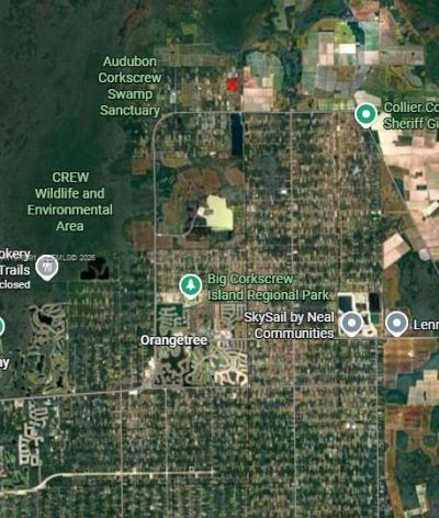 0 Sanctuary Rd, Naples, FL 34120 Photo