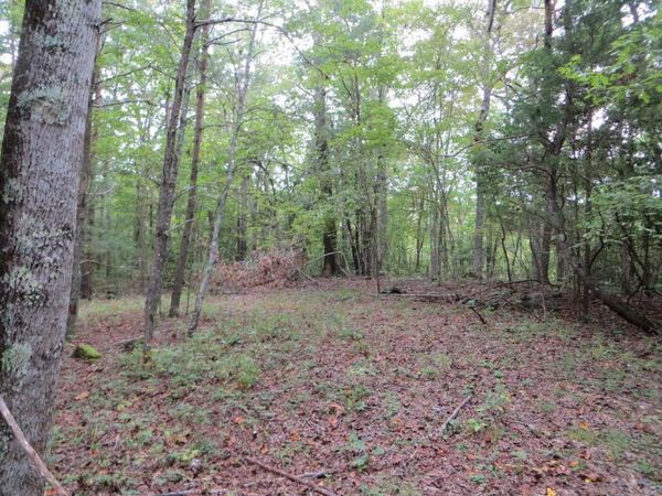 377 Sinclair Lane, Crossville, TN 38572