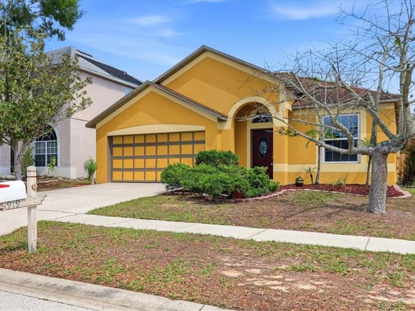 919 GRAND CANYON DRIVE, VALRICO, FL 33594