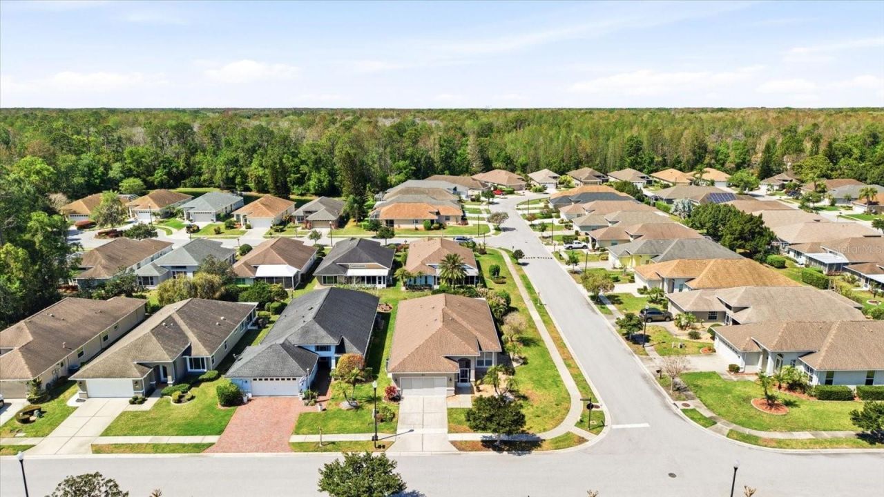 1615 Orchardgrove Avenue, New Port Richey, FL 34655 Photo