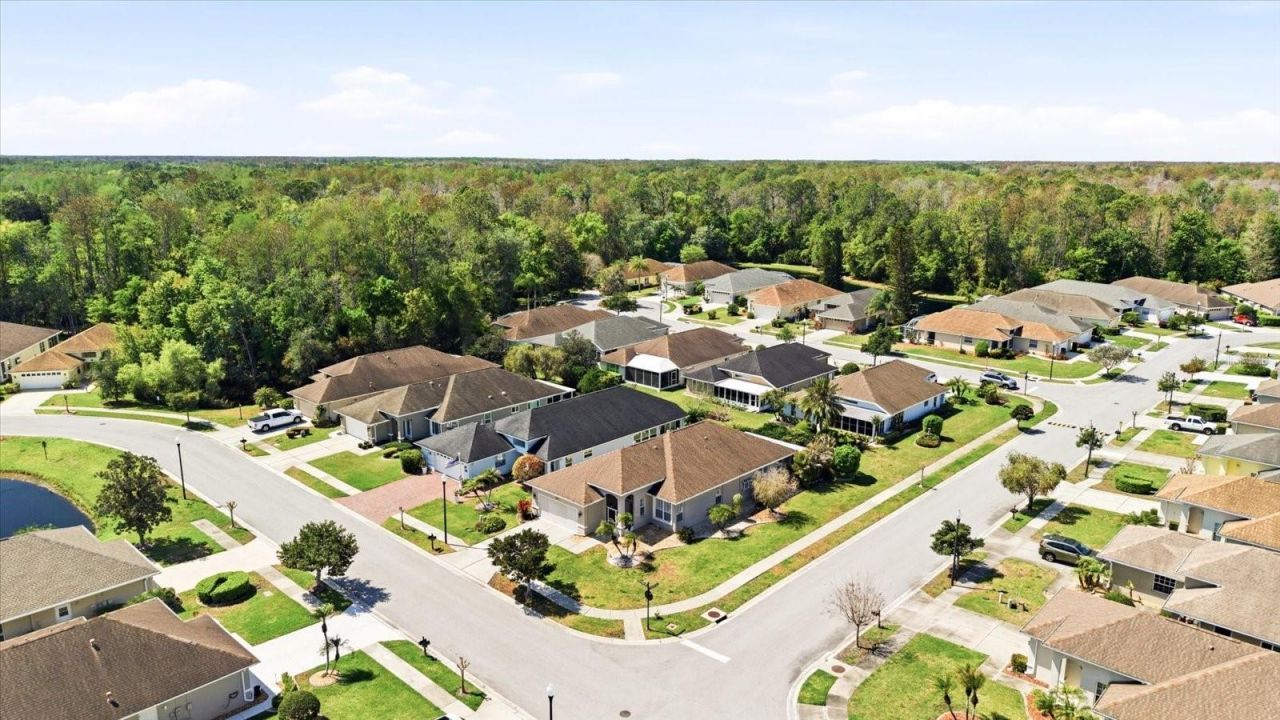 1615 Orchardgrove Avenue, New Port Richey, FL 34655 Photo