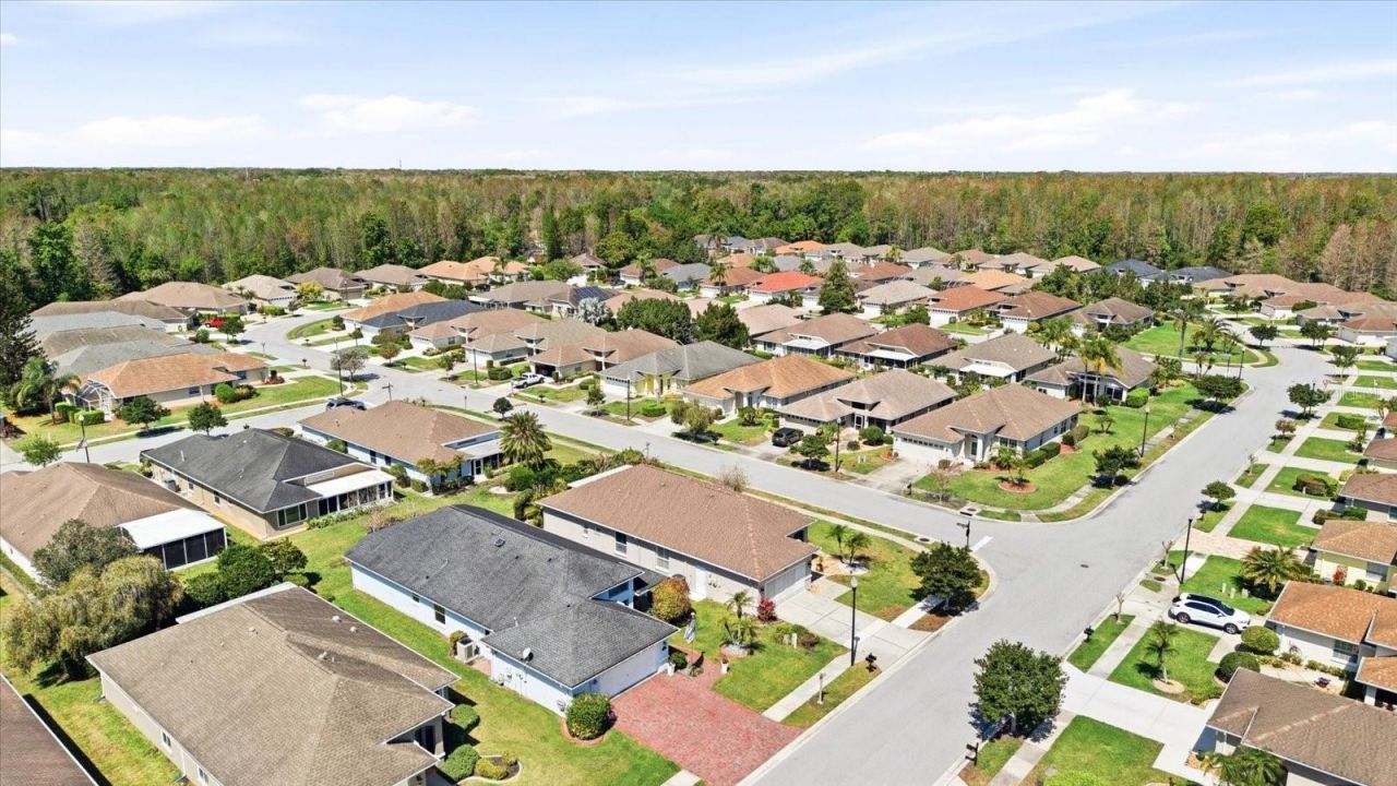 1615 Orchardgrove Avenue, New Port Richey, FL 34655 Photo