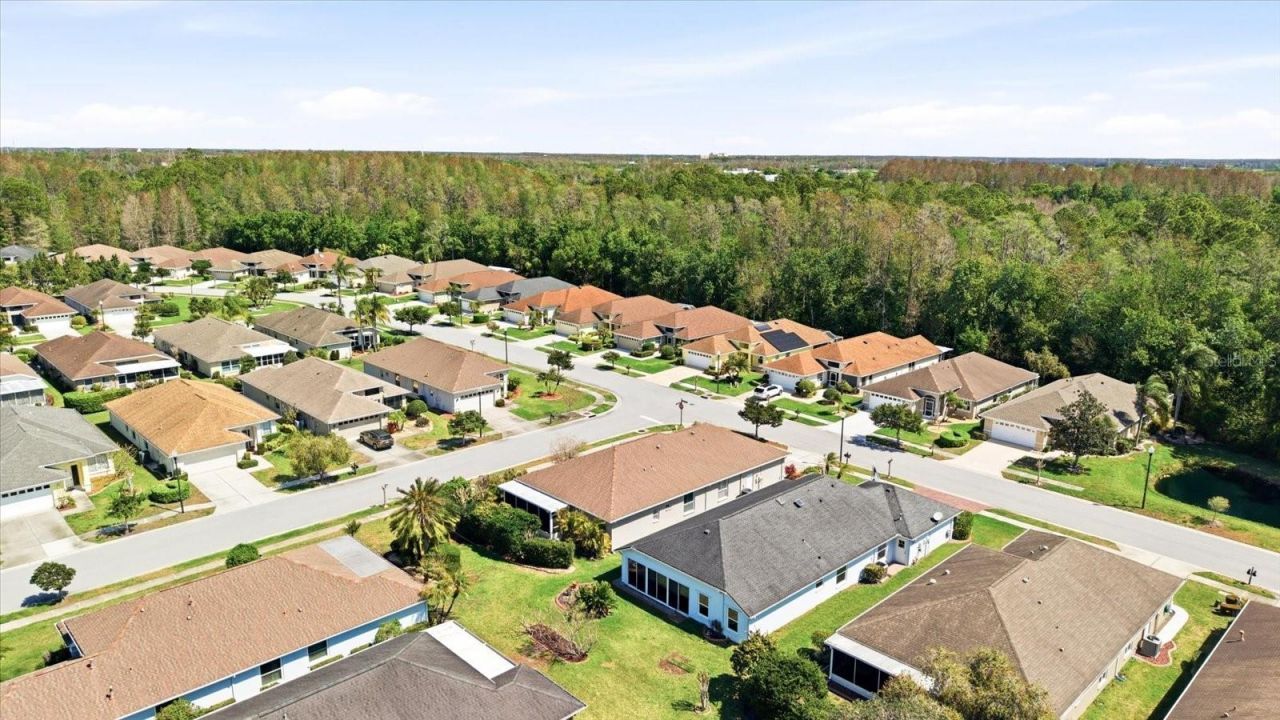 1615 Orchardgrove Avenue, New Port Richey, FL 34655 Photo