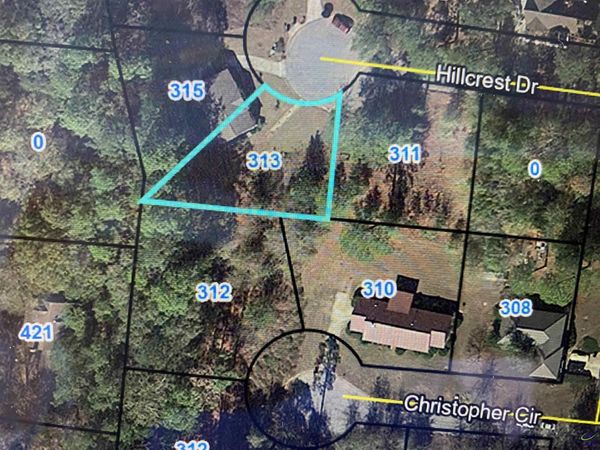 313 Hillcrest Drive, Montezuma, GA 31063