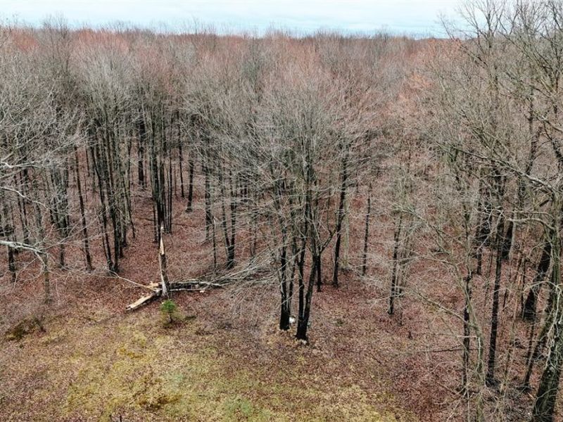 8840 Peck Road , Ravenna, OH 44266 Photo 8