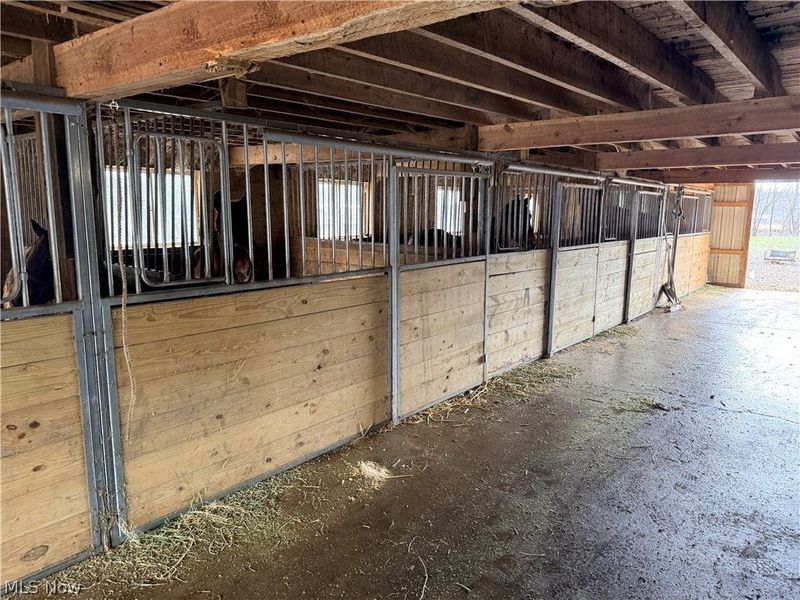 53405 Calais Road , Quaker City, OH 43773 Photo 12