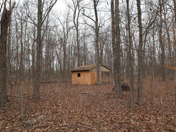 12310 Patton Tract Road, Monroeville, OH 44847