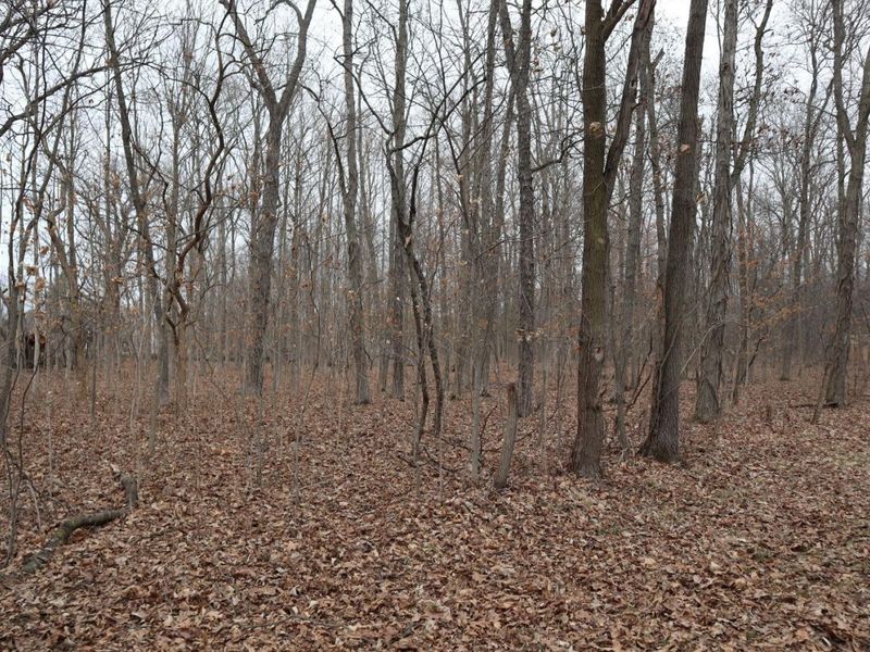 12310 Patton Tract Road, Monroeville, OH 44847 Photo 3