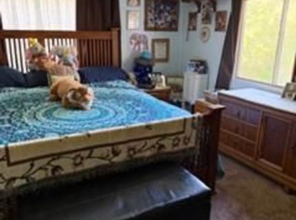 1605 Grass Valley Hwy #44, Auburn, CA 95603 Photo