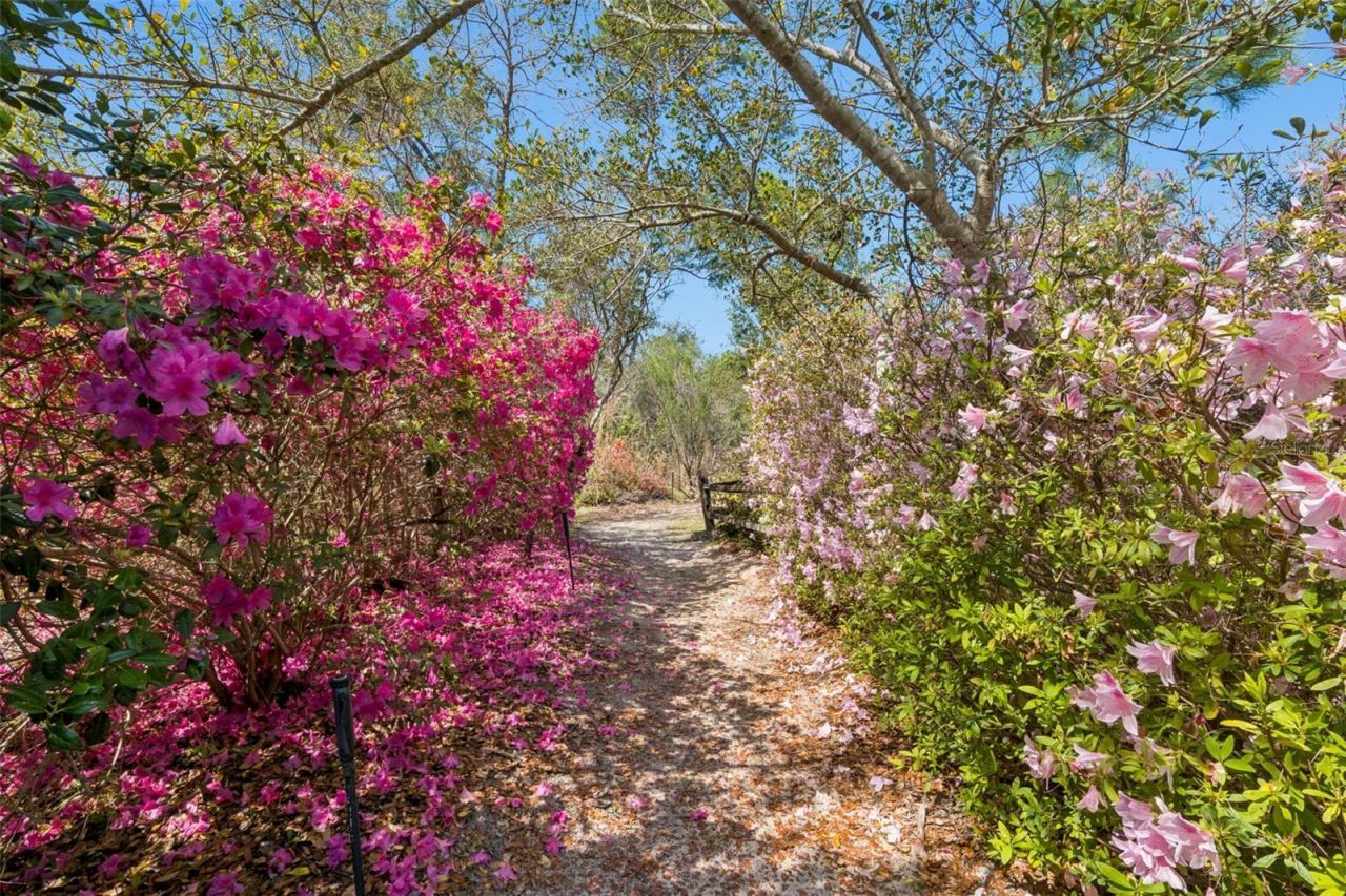 37008 Forestdel Drive, Eustis, FL 32736 Photo